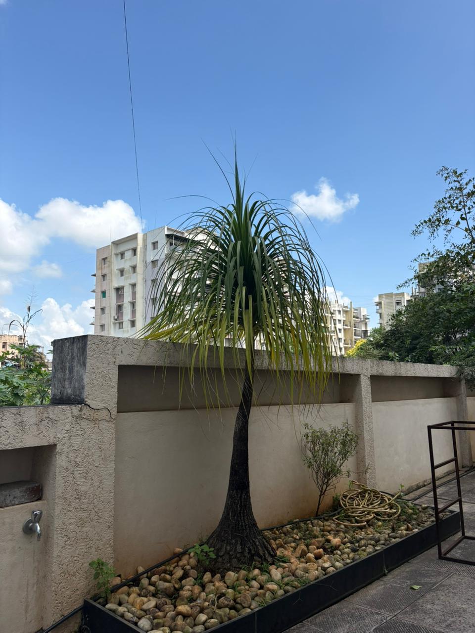 Garden Development & Maintenance Consultation