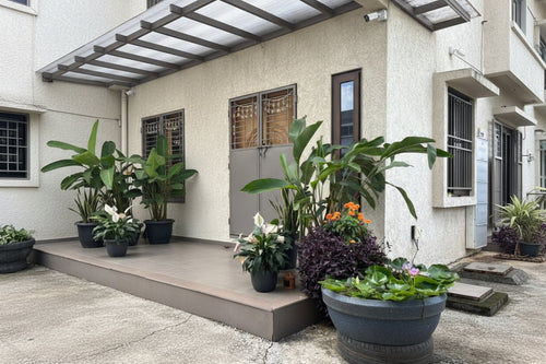 Garden Development & Maintenance Consultation