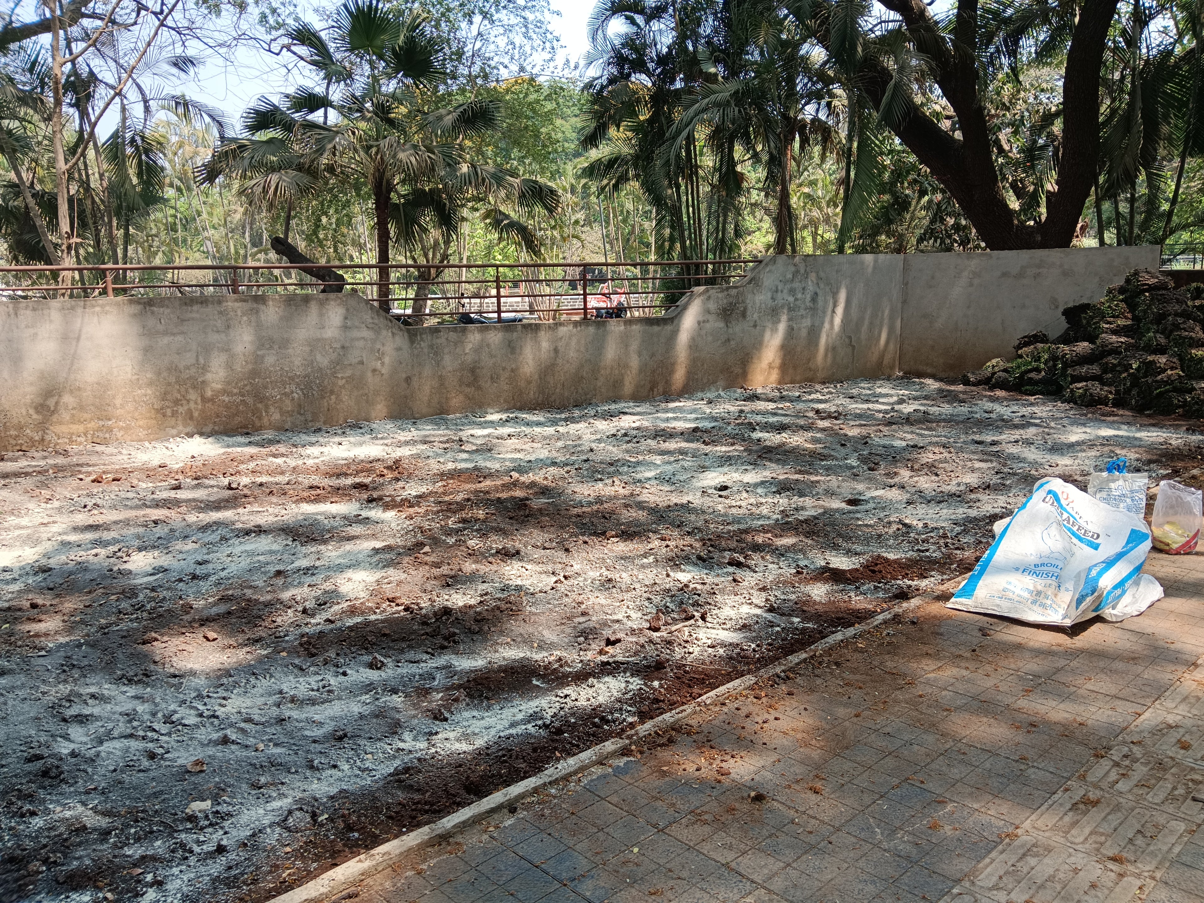 Garden Development & Maintenance Consultation