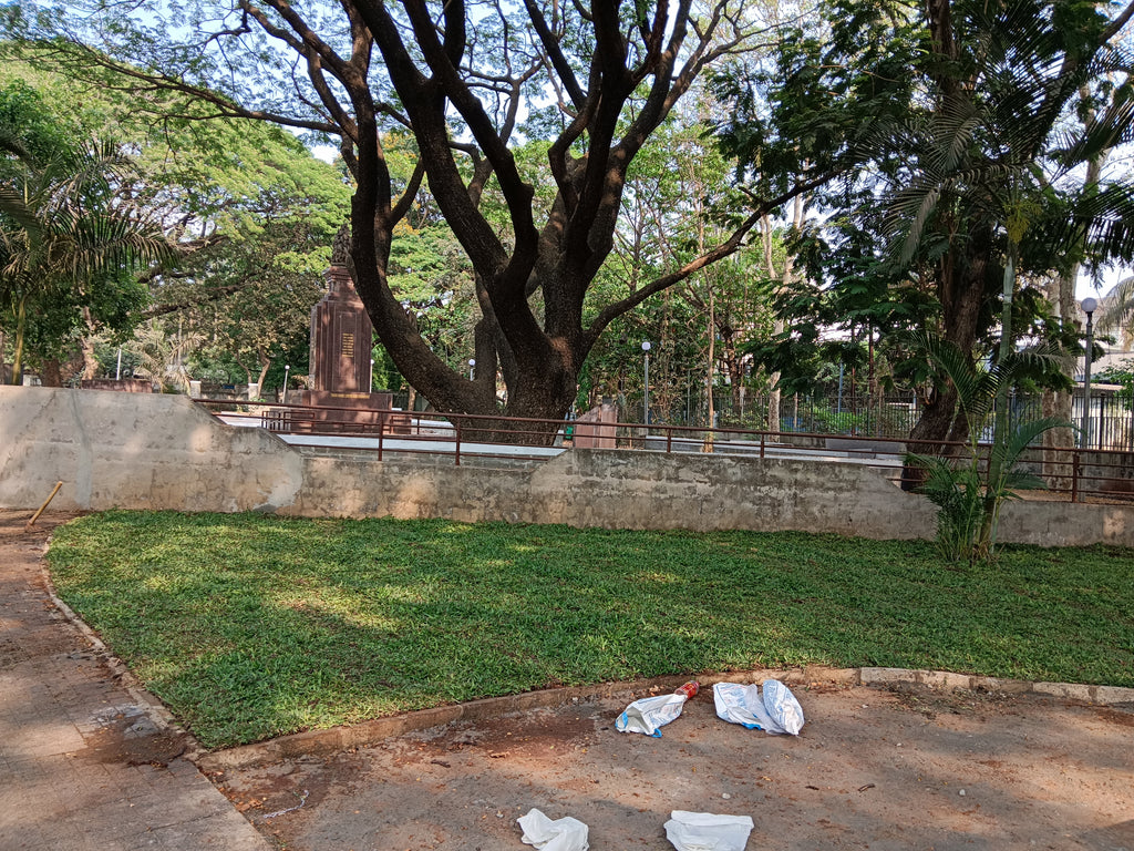 Garden Development & Maintenance Consultation