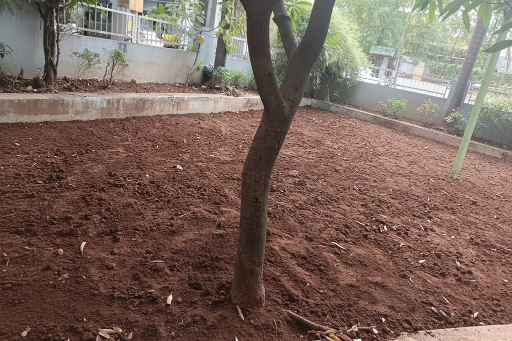 Garden Development & Maintenance Consultation