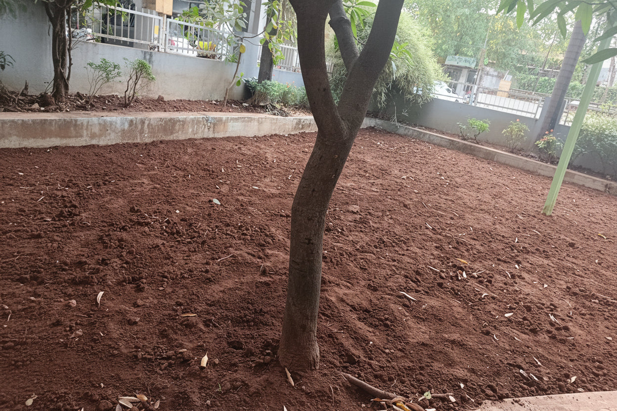 Garden Development & Maintenance Consultation