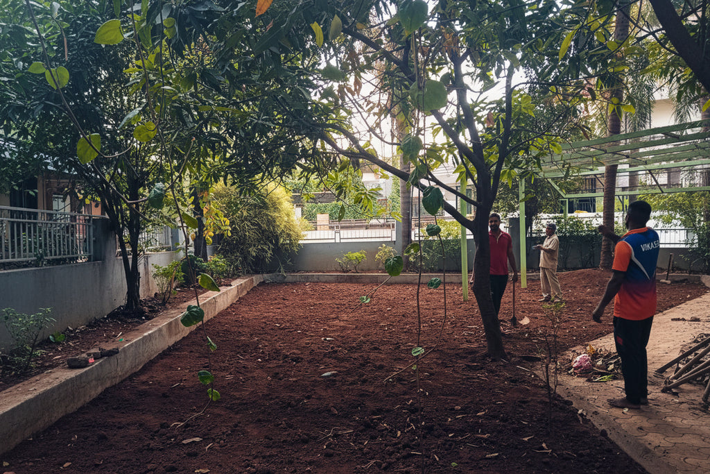 Garden Development & Maintenance Consultation