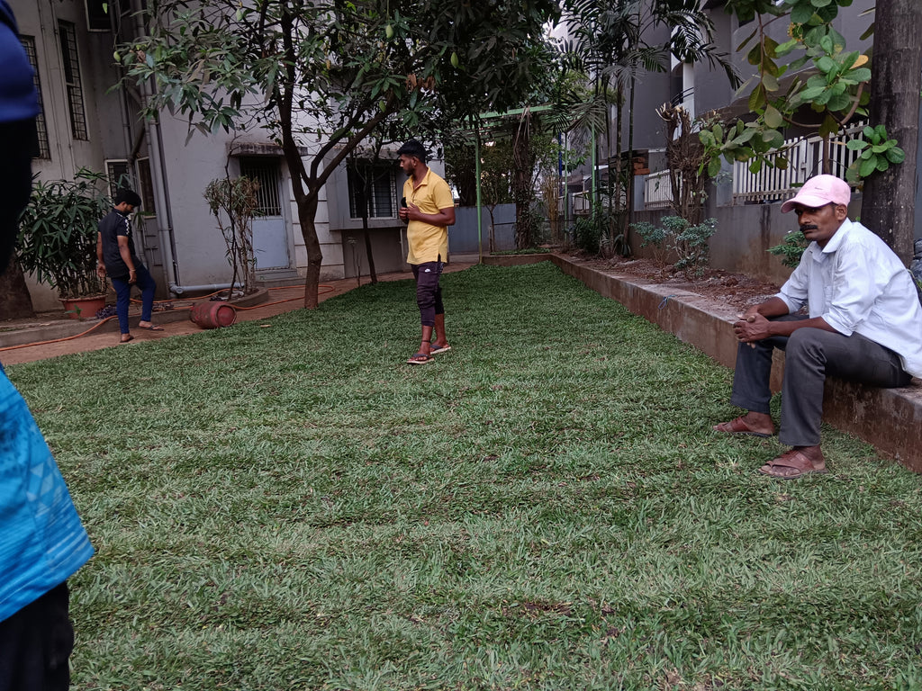 Garden Development & Maintenance Consultation