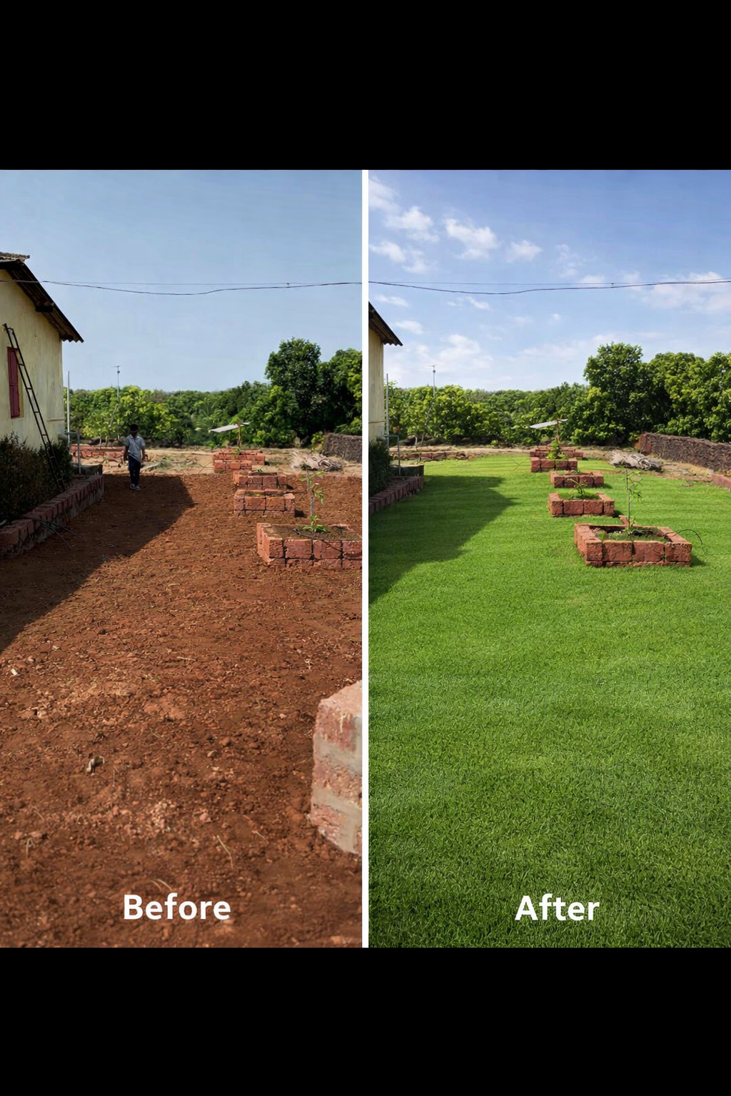 Garden Development & Maintenance Consultation