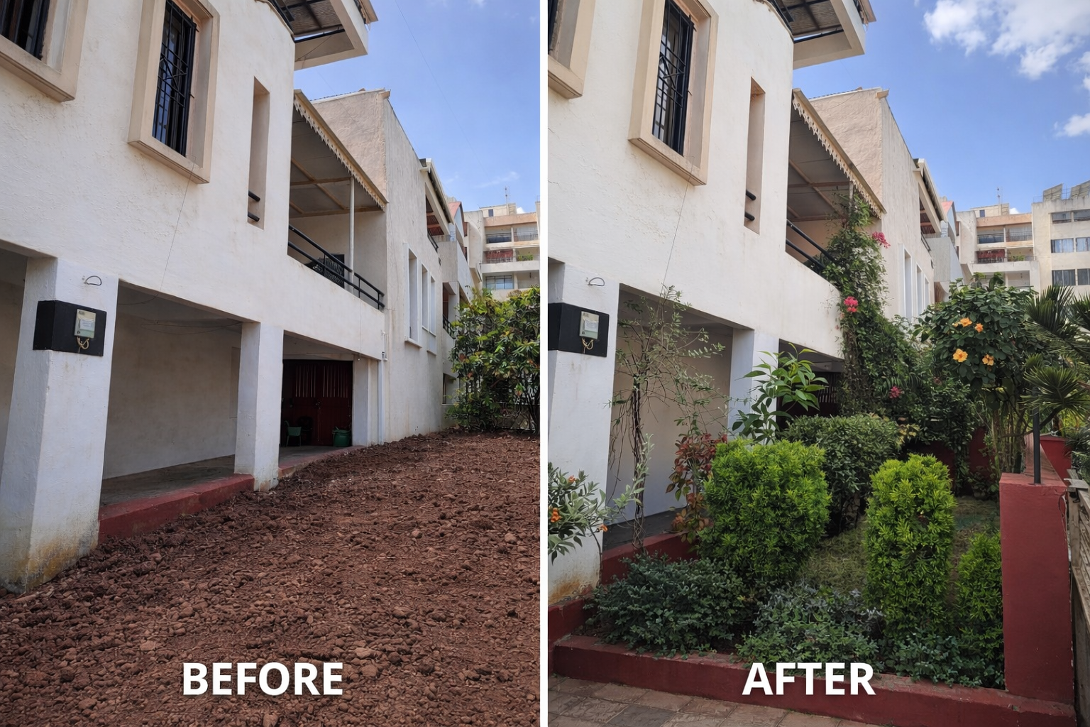 Garden Development & Maintenance Consultation