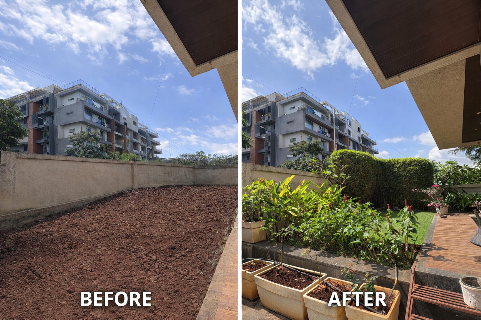 Garden Development & Maintenance Consultation